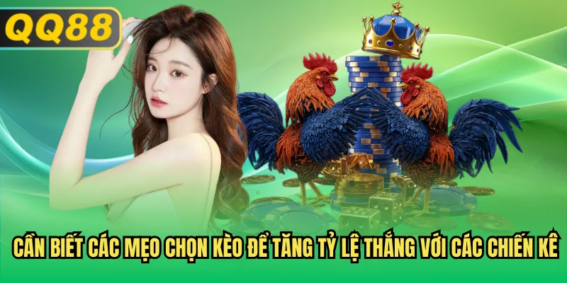 Cần biết các mẹo chọn kèo để tăng tỷ lệ thắng với các chiến kê