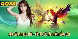 kèo đá gà trực tiếp