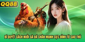 Cách Nuôi Gà Đá Chân Mạnh